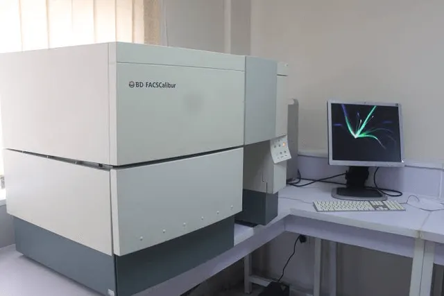 BD FACSCalibur Analyzer Thumbnail